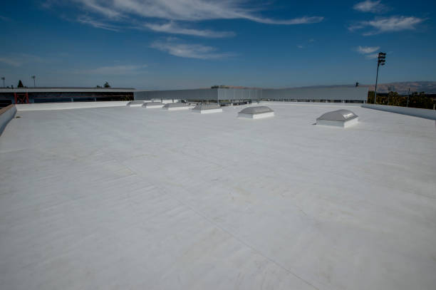Best Asphalt Shingle Roofing  in Esparto, CA