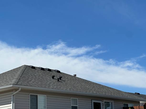 Best Chimney Flashing Repair  in Esparto, CA